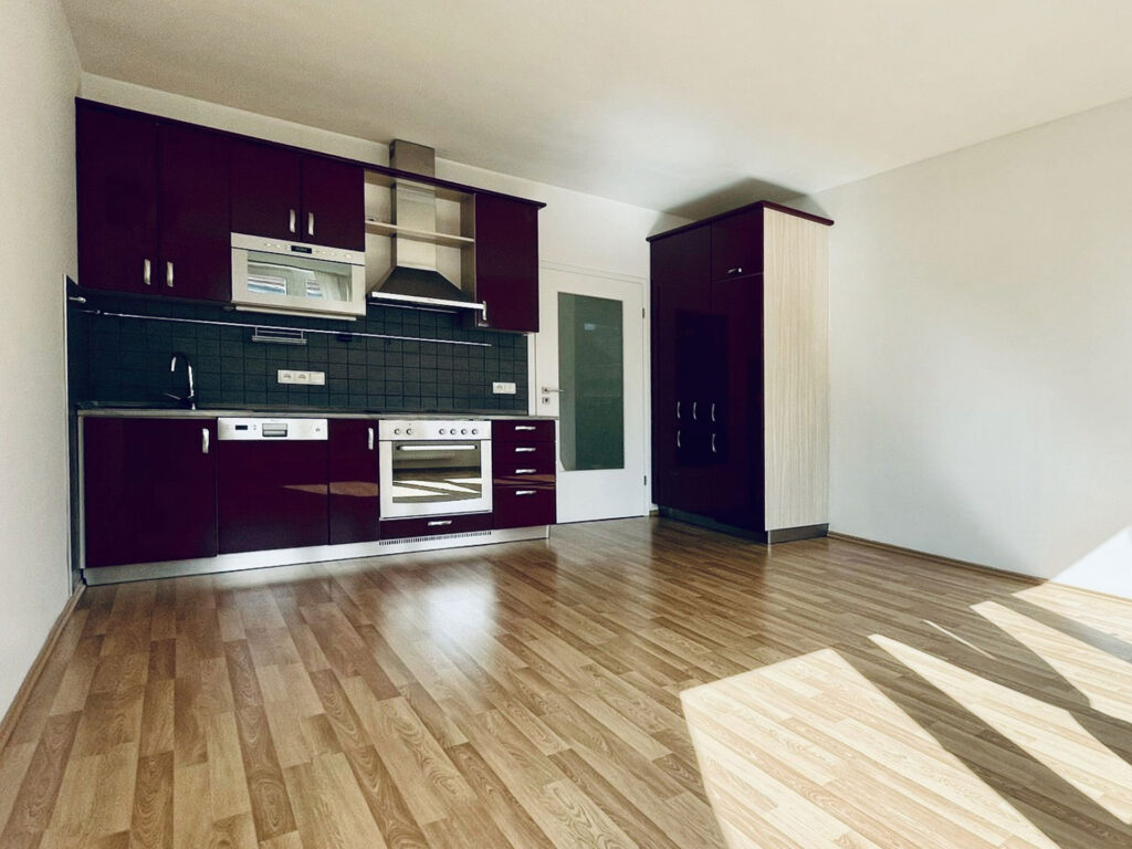 Pronájem bytu 2+kk, 60 m2 V Horkách, Praha-Nusle